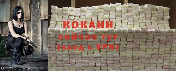 мяу мяу мука Горняк