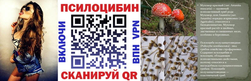 площадка телеграм  закладка  Нальчик  Псилоцибиновые грибы MAGIC MUSHROOMS 
